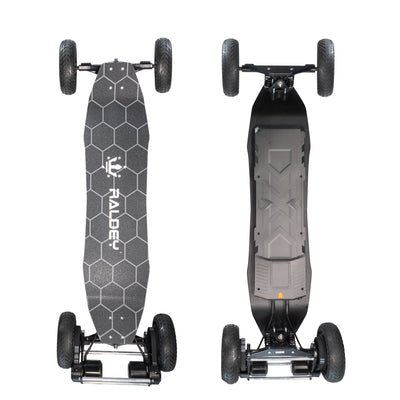 NEW RALDEY Classic Wooden WASP Electric Mountainboard